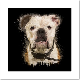 Bulldog face watercolor Posters and Art